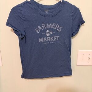 American Eagle Outfitters Blue Crew Neck Tee